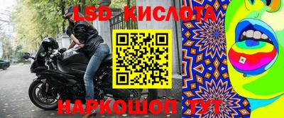 стафф Новодвинск