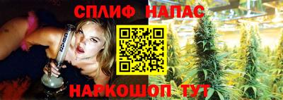 стафф Новодвинск