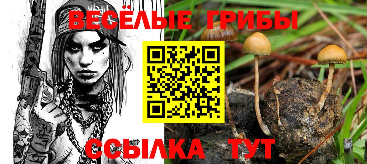 Псилоцибиновые грибы мицелий  Вход с VPN  Трёхгорный 