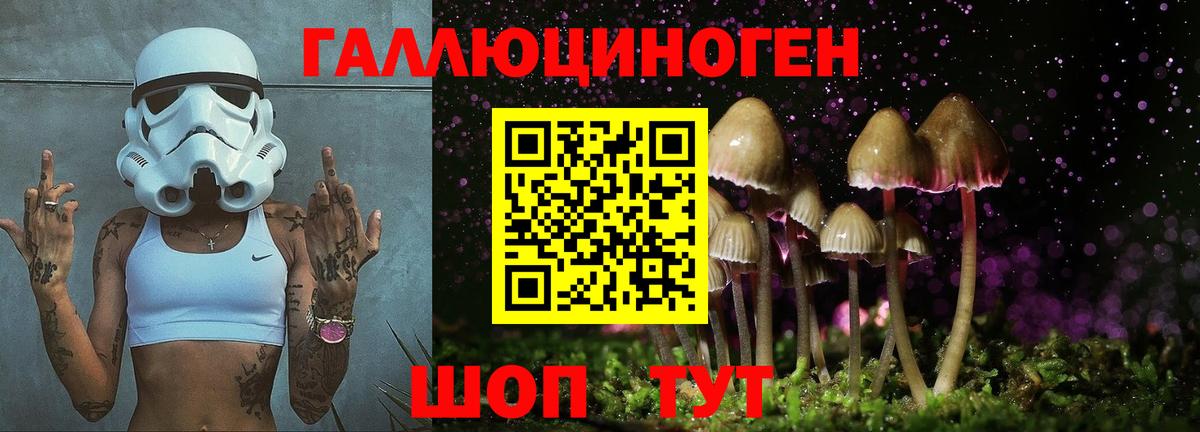 Псилоцибиновые грибы мицелий Трёхгорный